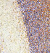 Georges Seurat Detail of Dance oil painting picture wholesale